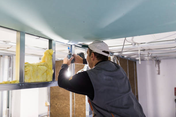 Best Commercial Insulation Services  in Hudson Oaks, TX