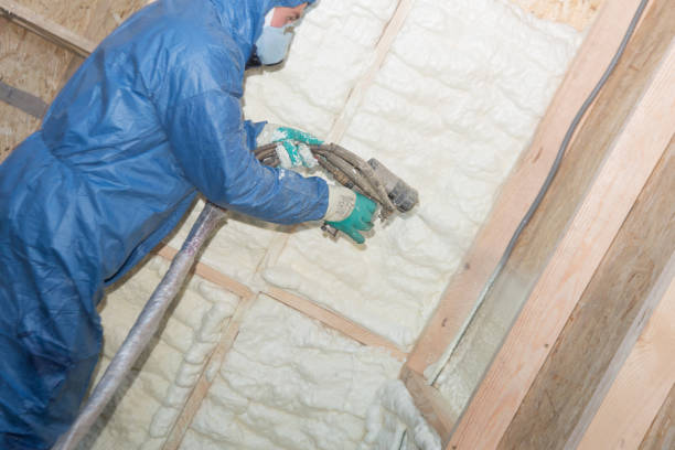 Best Eco-Friendly or Green Insulation Solutions  in Hudson Oaks, TX