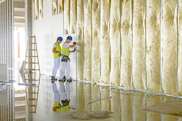 Best Radiant Barrier Insulation  in Hudson Oaks, TX